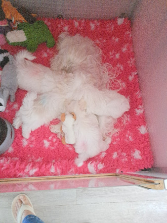 13-9-25 8.18 uur toetje bij mama na het ontbijt maar mama moeten we zoeken